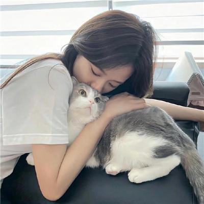 老虎连